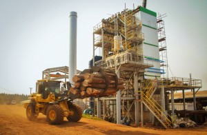 proyecto-de-biomasa-pindo-ubicado-en-puerto-esperanza-renovar-1-0